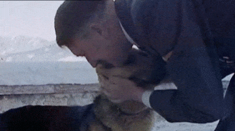 6b46e48bf73f5e6d0a4a9ee538c4cd8d52d5942d033272c331e8df15d6435a2b.gif