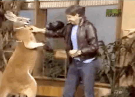 6c3b2c46ba6f65dabcdb1e002ffc234bd732e3aaab9057c2b8e6a599a8778e9c.gif