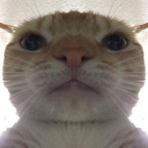 NVIDIA & Bethesda Unveil DOOM Eternal GeForce RTX 3080 Ti Demon Slayer ...