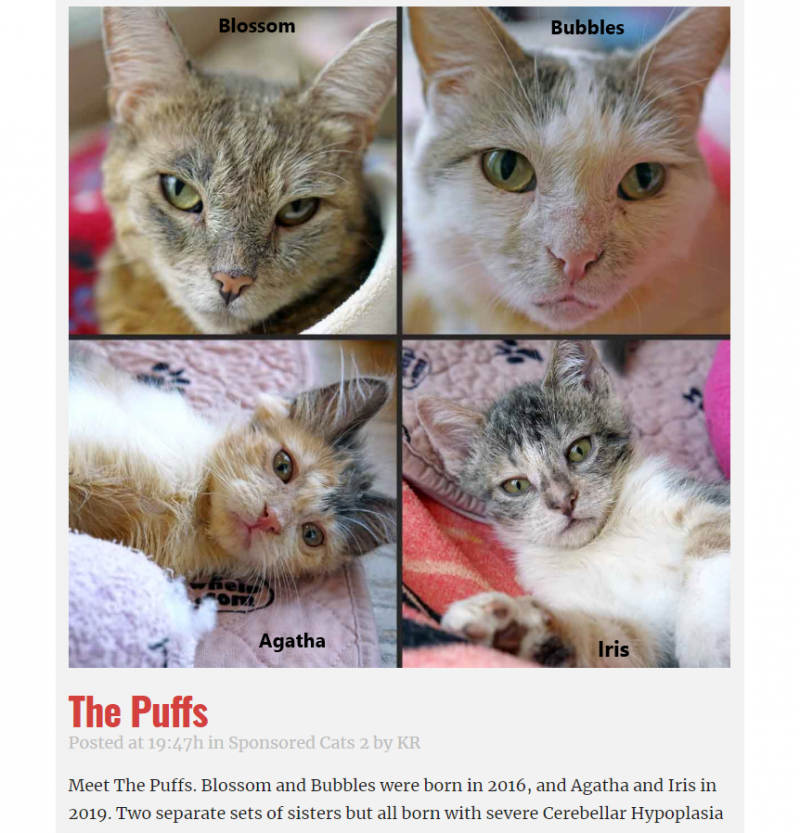 Camkittys img[ls модели фото Anyrgb