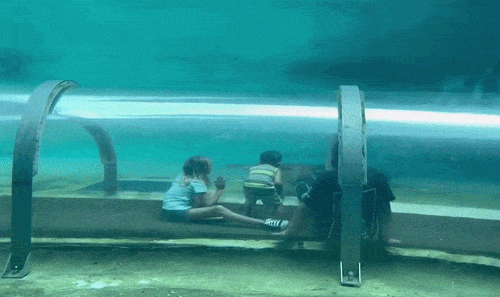 72fcef67c1246ffd42e435454745892996e361b87b20310804b19a68d10f4784.gif