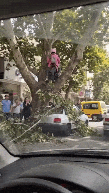 74895e638812fa3c276fe82f5bf9820a2a52bf5c7e22ed566f4373d25791d6b5.gif