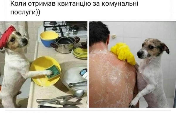 "Після анбандлінгу нічого не заважає "Нафтогаз" приватизувати, він коштує масу грошей", - Коболєв - Цензор.НЕТ 2949