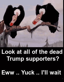 798c75549bc4b5eaf37aa74c551c4802e389c877