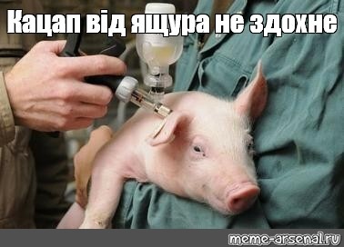 Венгрия получила российскую вакцину против COVID-19, несмотря на рекомендации Еврокомиссии - Цензор.НЕТ 2451