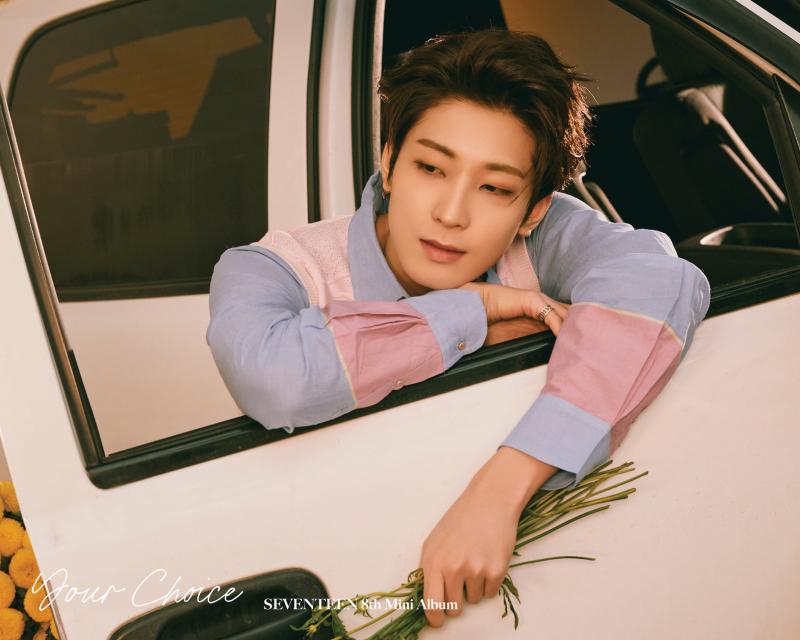 Seventeen Members Profile Updated