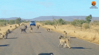7e36dd40c90a19bf130542ebec4255587b3b59baa6e9082992b6257702efdb16.gif