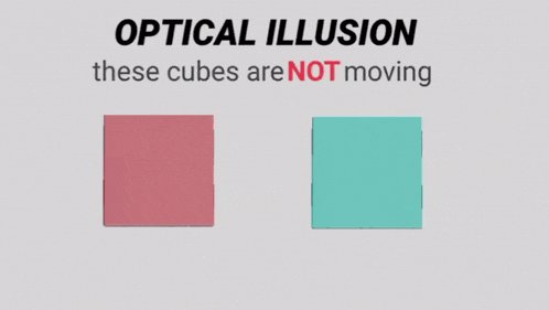 835737b6b417d39e02c6b8e44ffe1c7a78c2034ca88ec4b780493f8907e17d8e.gif