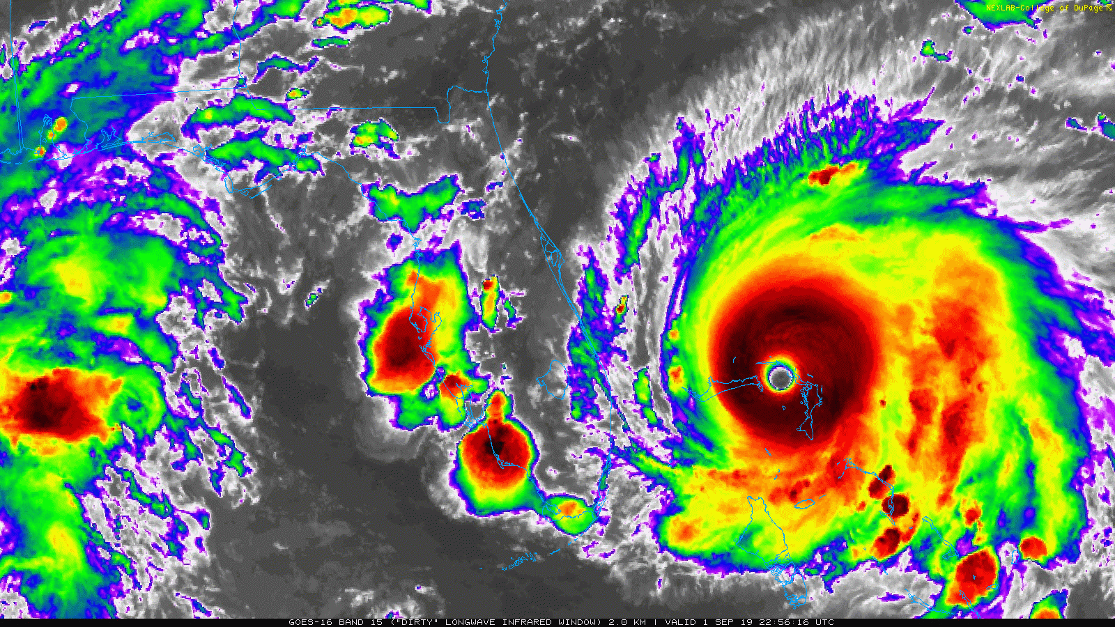 zello app hurricane zello app hurricane