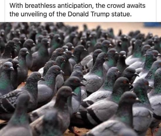 84e8948db423b4c1e959fc6c1ababc2302d2d0abea29bc30aff9336a3017fefb.jpg?w=600&h=465