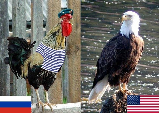 Трампу підготували пам'ятку до зустрічі з Путіним: "Росія - це агресор, Крим належить Україні, Путіну не можна довіряти" - Цензор.НЕТ 1880