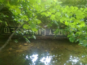 Lindsey Caravans Ltd sign still upside down in the river Waring 50 years later shoring the bank
