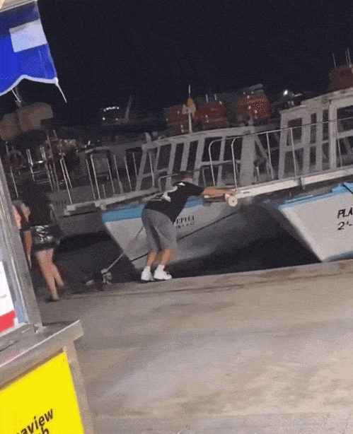 8c35c8d59868e9b1387c4a4dbbe6e92c568be595ede465feebc3ab6dc4420a13.gif