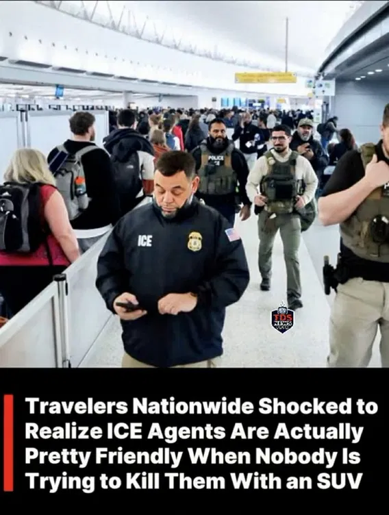 Criminal Assault of ICE and Other Law Enforcement: Scoreboard Roundup ...