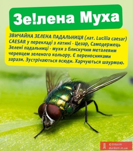 Верю, что Швейцария поможет Украине в вопросах предотвращения коррупции, - Зеленский - Цензор.НЕТ 2587