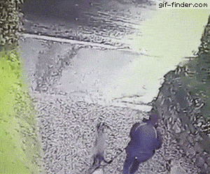 95305607a8a5734b8554022034a459814ef17e64721d0143179d957e72886498.gif