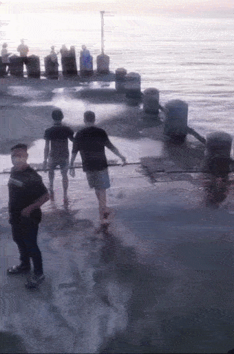 9848d524a3b38041c5d7387b5895c02d25835d6e7a9e9826ad6a61f24b8e52d2.gif