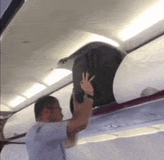 9d22f806a8f1920c07a61792caa1958b3b805ad0f7edd3ba998d0c56b74eeeaa.gif