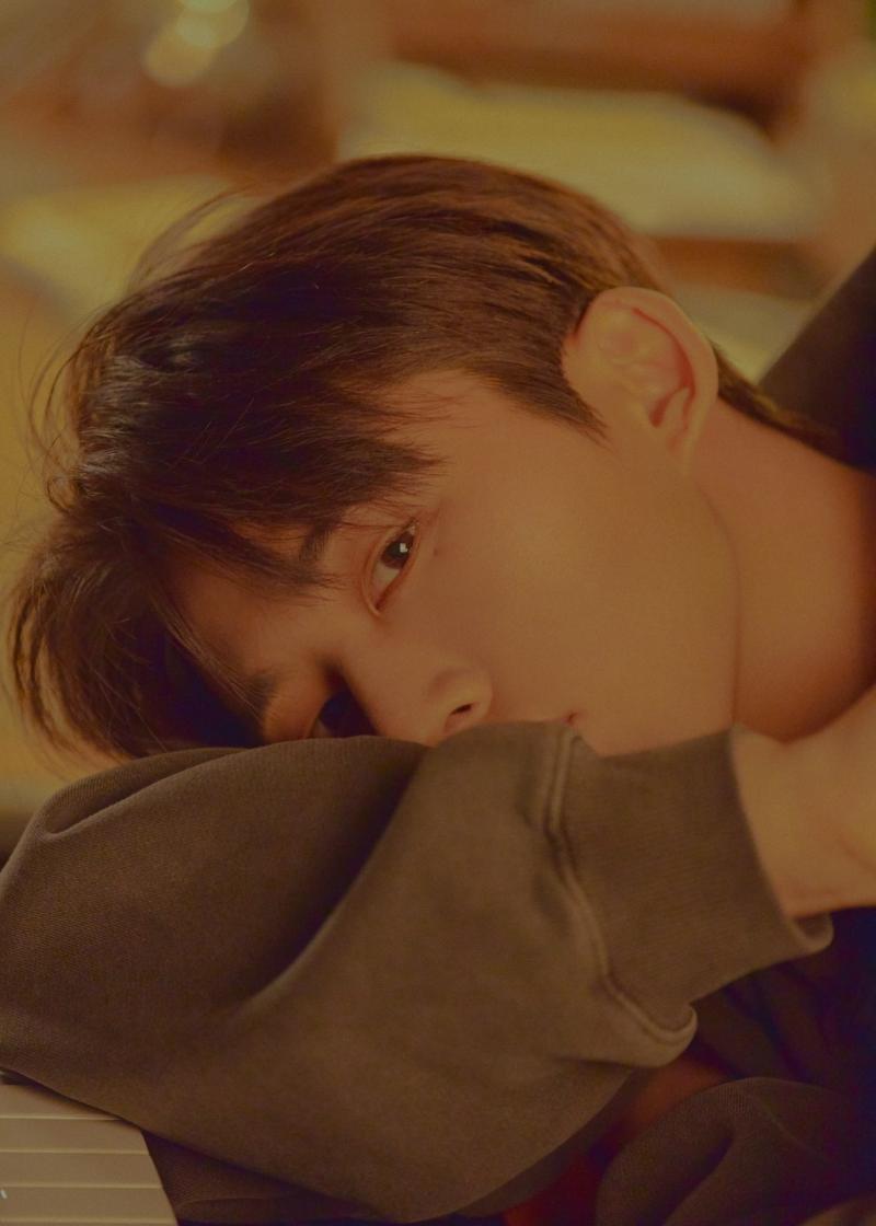 B I Ikon Profile And Facts B I S Ideal Type Updated B I Ikon Profile And Facts B I S Ideal Type Updated