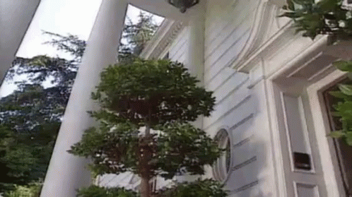 9e787b8db09f2bcb51262e3b4ea0377d82add0bcda5a8cabbb9e38bfe732c51d.gif