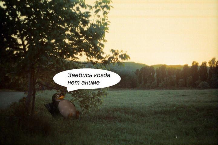 9e98ce47a636955dbffdcb6bc08df50fdcf73f7d