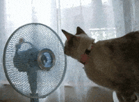 Disqus Profile - taytumlee