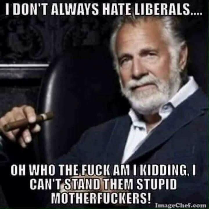 i hate liberals t shirt