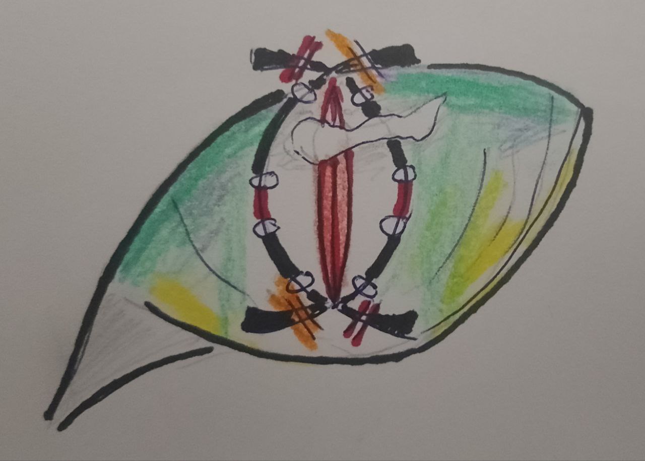 comment image