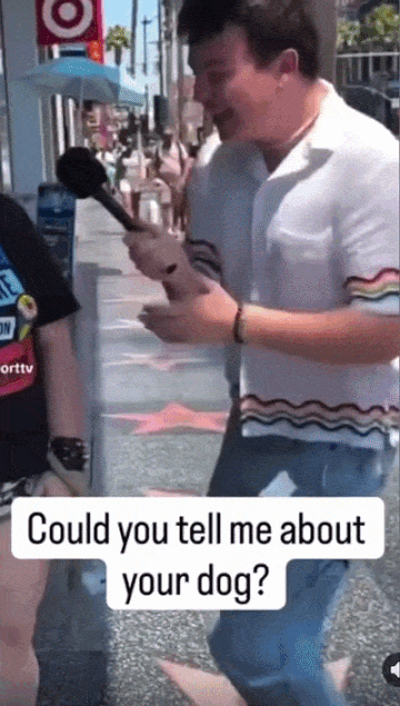 ab6d81aa140234f80e33e88ae6f80a6aa9002adcda160f2db3835f50f14056c0.gif