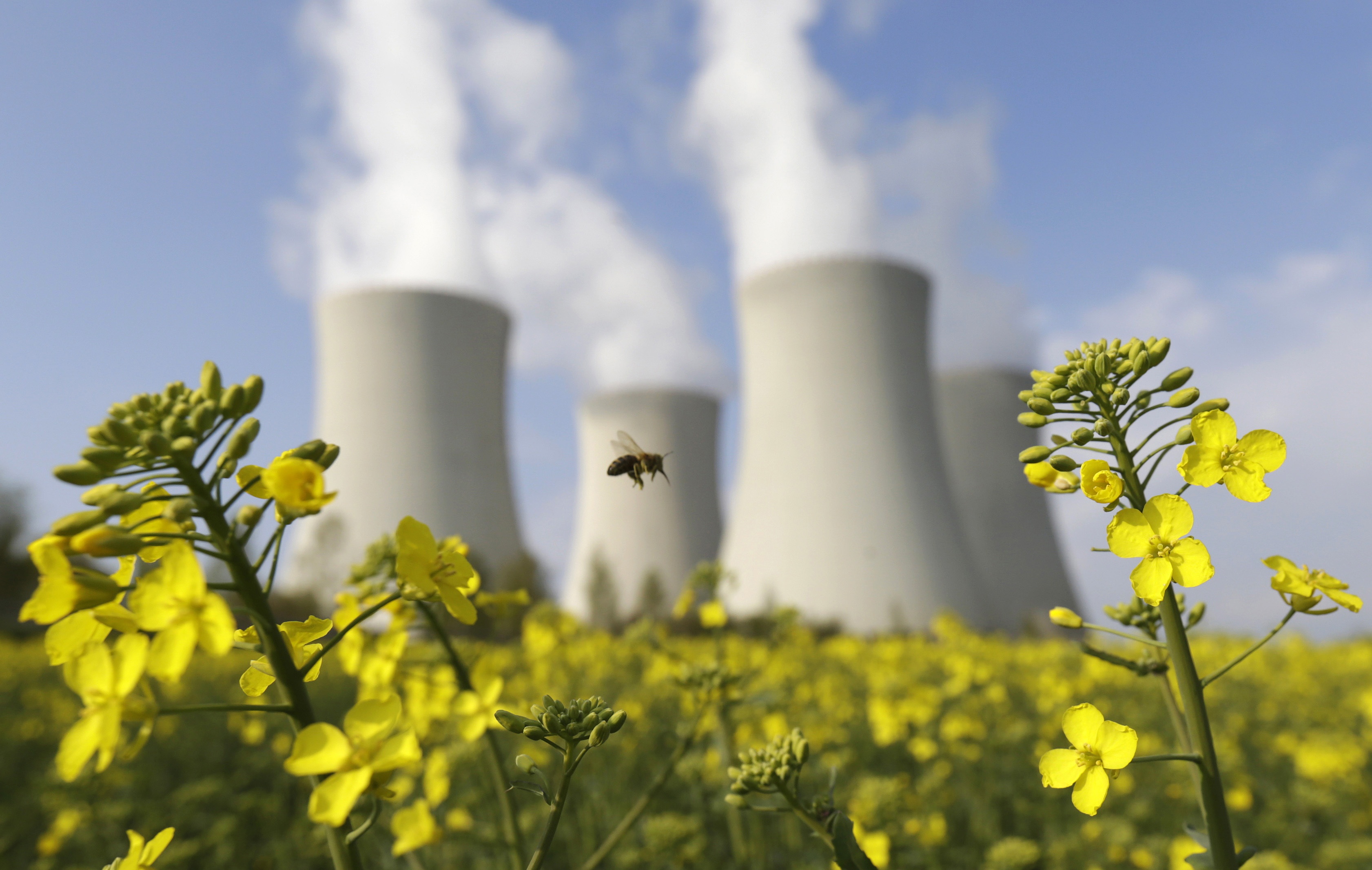 The Future Of Nuclear Energy