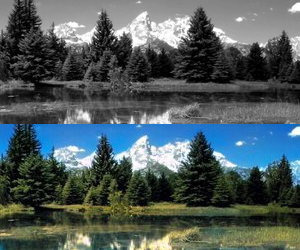 Learn how to colorize black and white photos in only 4 minutes