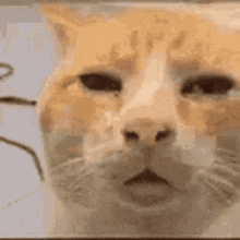 Imagen de Disqus