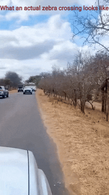 b75fb4e8b646388e698fcc0dec6e009ae1d9aa94fdbc61fe6248cd78c32412fb.gif