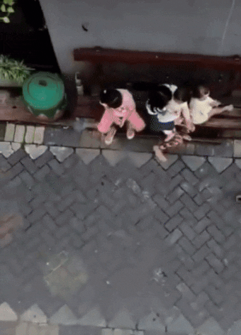 b998ca2bdaf4a14b31730609e148f3be3fc1f722c325ecb75403c6e718ef3d2f.gif