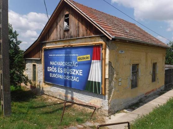 Előnézet