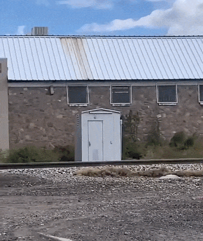 bafc92b601aec54206d35641a01d31445b305f9e6acf1548982f68df087afeec.gif