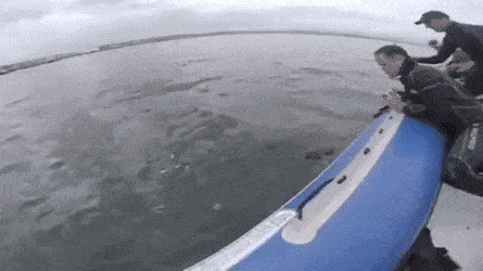 bbc30860c51770039e3d5a94be7f22220fe1f02d557db929379b444e6e546b8f.gif