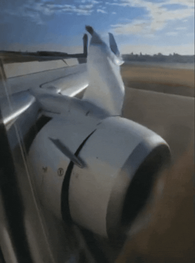 bc8ae1f1623dbbf187c16d8a12f4ba089065d3071d83af22bf1a40df0bbe56ae.gif