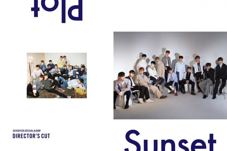 Seventeen members 2018