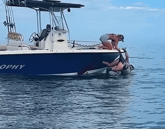 c28777970948e32856374cf2255157a07b0146ddb9cdbe0a391446f9fba37272.gif