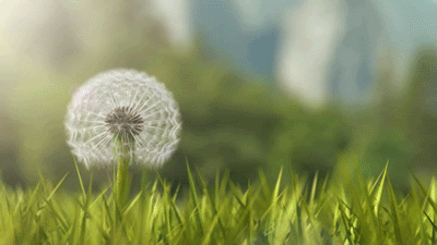 c5d267e8dcd017ef241d8ed5aec48ae23f47aea4073544073c84436728e9e2c6.gif