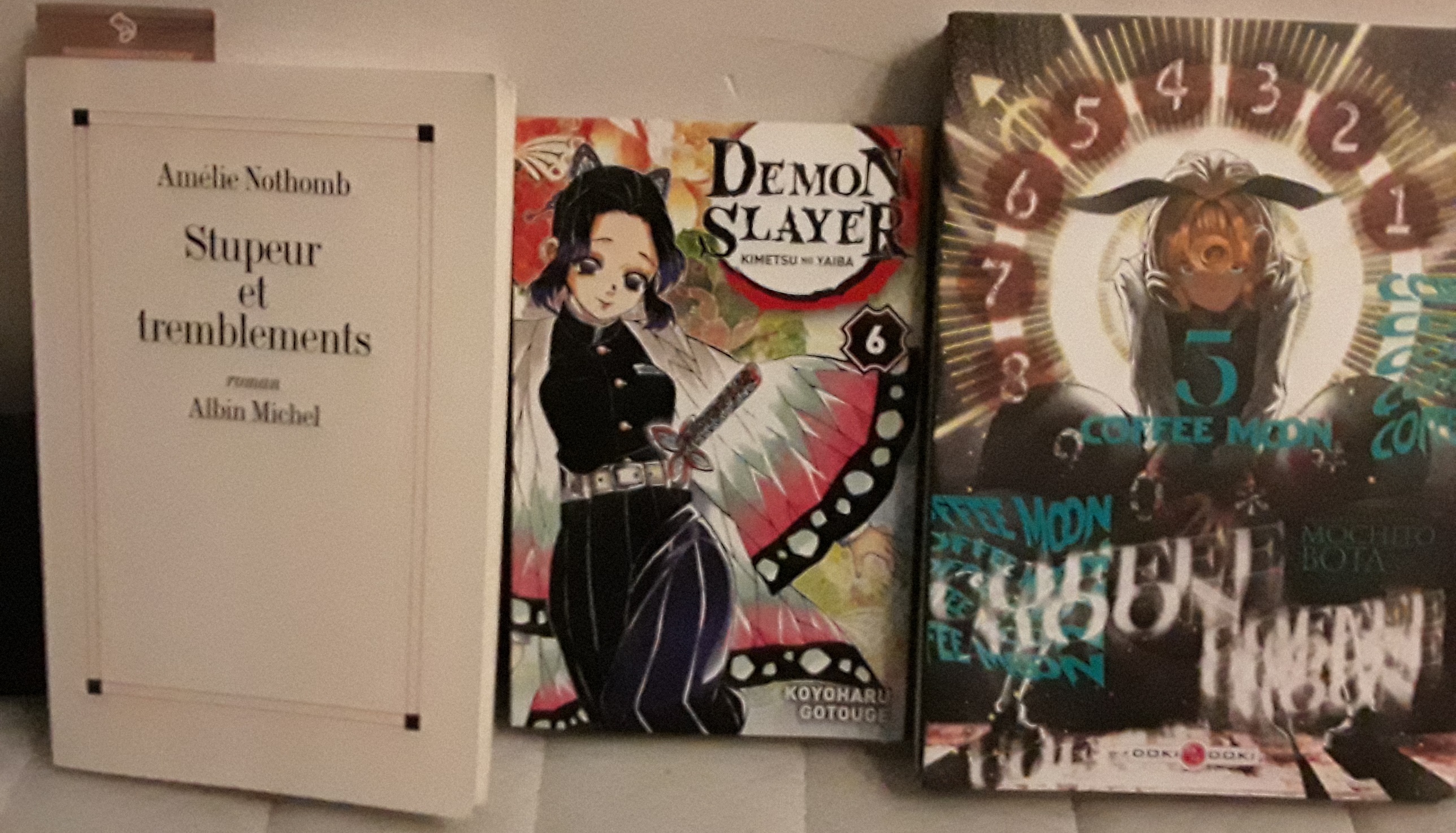 Stupeur et Tremblements by Amélie Nothomb, Demon Slayer vol.6, Coffee Moon vol.5