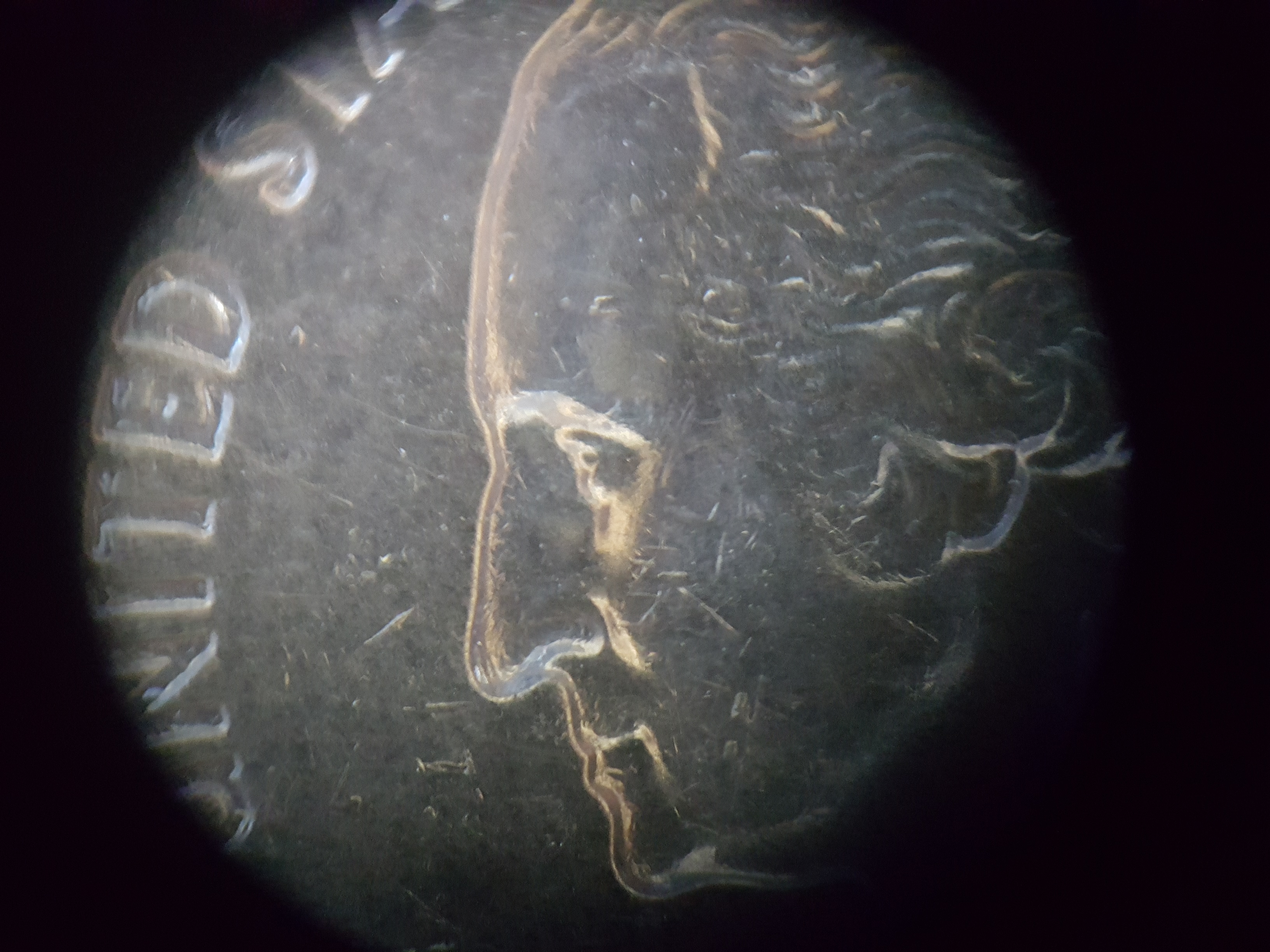 What is the value of a 1967 quarter?