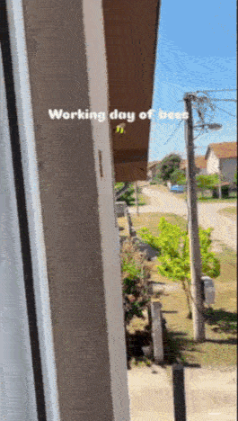 cc54a88b0b6f1a95641302fd77a45b15a067382b8ad8d3b4d4a309a4a4059492.gif