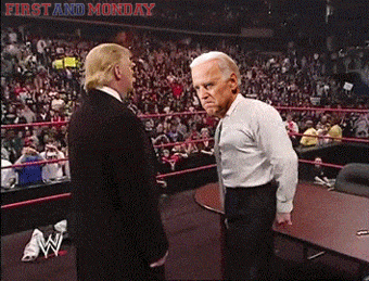 cd5081ce78113a240338d2e6ee780597ac1346a74b016c6d1ecc582e047fdcf3.gif