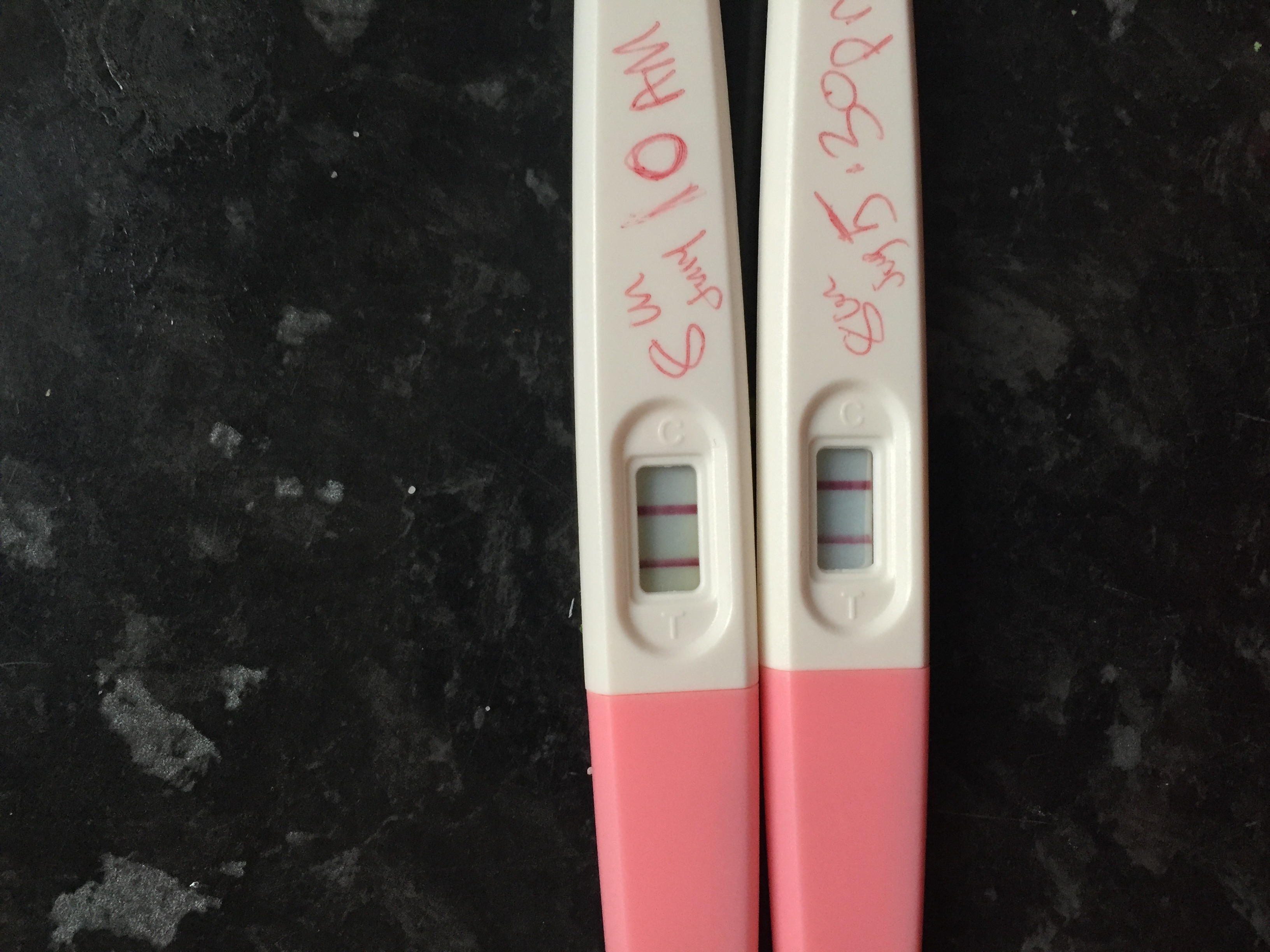 My Ovulation Test Is Positive When Should I Have Sex