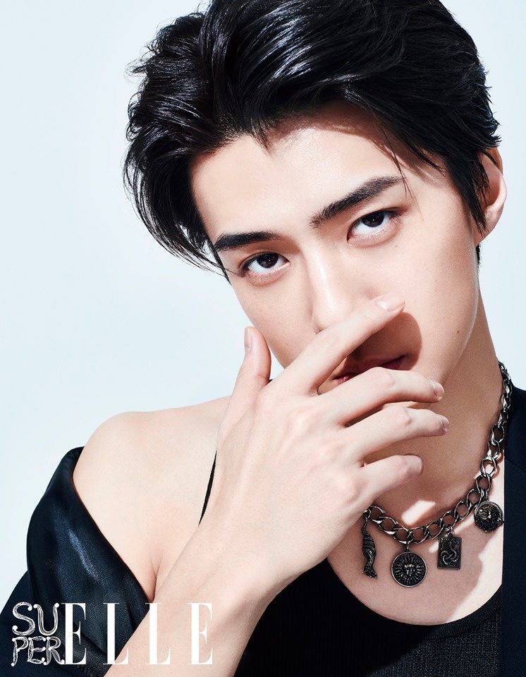 Sehun Profile and Facts; Sehun&#39;s Ideal Type (Updated!)