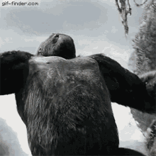 Imagen de Disqus