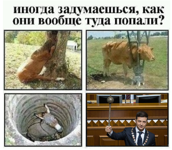 Найбільше українці довіряють ЗСУ, волонтерам і Зеленському, - опитування Центру Разумкова - Цензор.НЕТ 7272