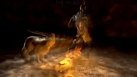 d19e283174465f2cd8478eea7e1014ecf0245b00dcb86bd3d1a723197832913e.gif